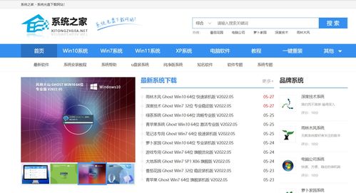系統(tǒng)之家官網(wǎng)